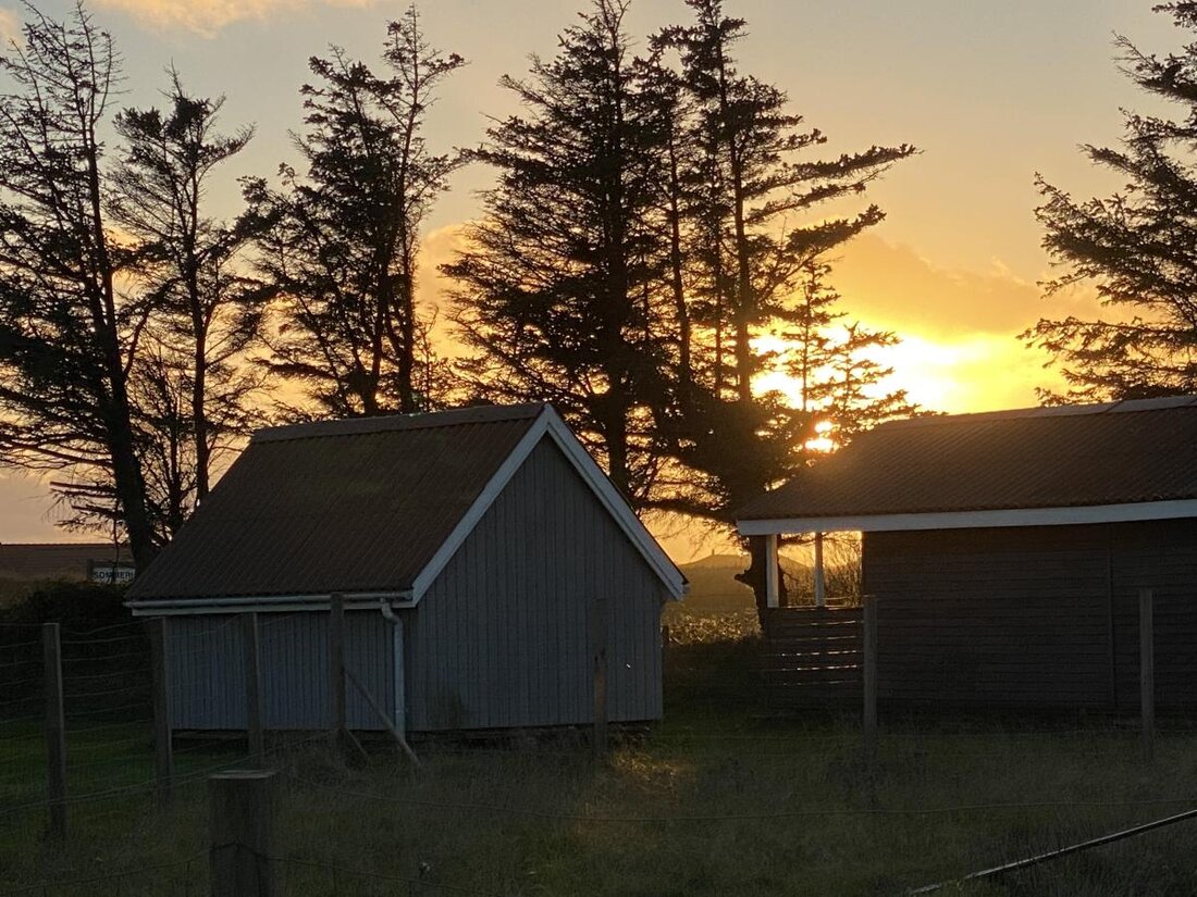 Wooden family cabin with small terrace